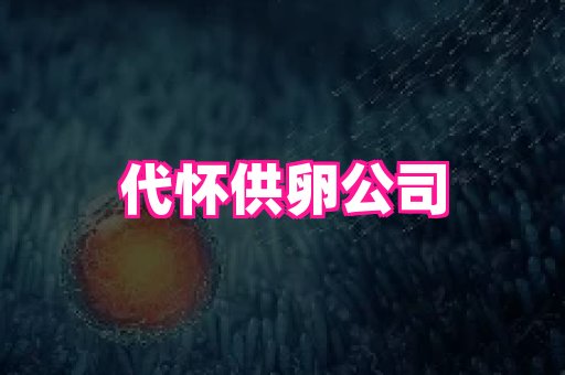 swisee孕网 1