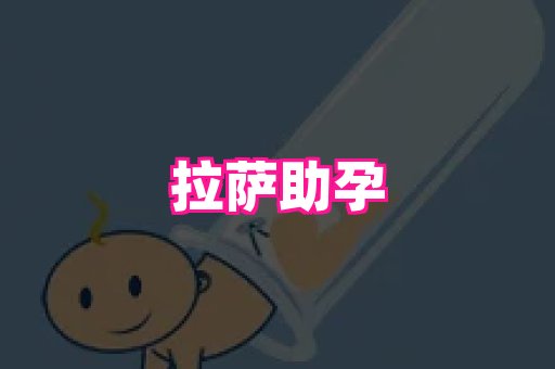 swisee孕网 2