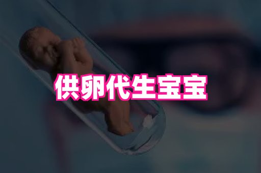 swisee孕网 3