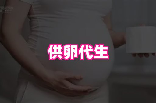 swisee孕网 4